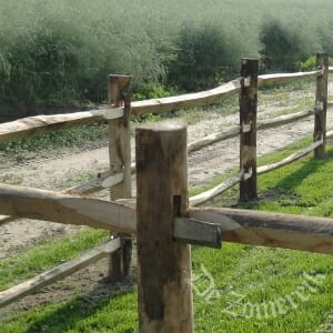 Post halfrond kastanje